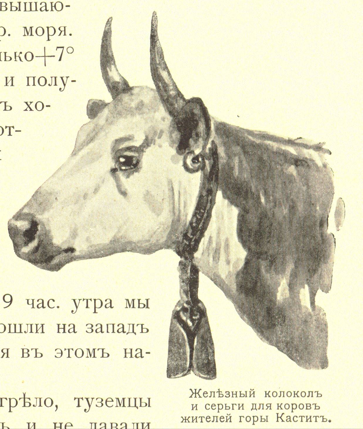 http://www.seltzerbooks.com/bulatovichphotos/illustrations/iron%20bell%20and%20earring%20for%20cattle.jpg