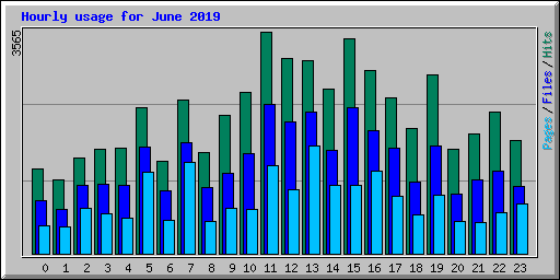 Hourly usage for June 2019